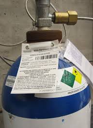 Albero caduto